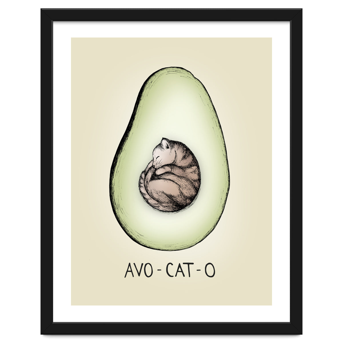 Avo-cat-o