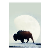 Wild West (Print Only) thumbnail