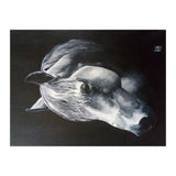 The Grey Horse (Print Only) thumbnail