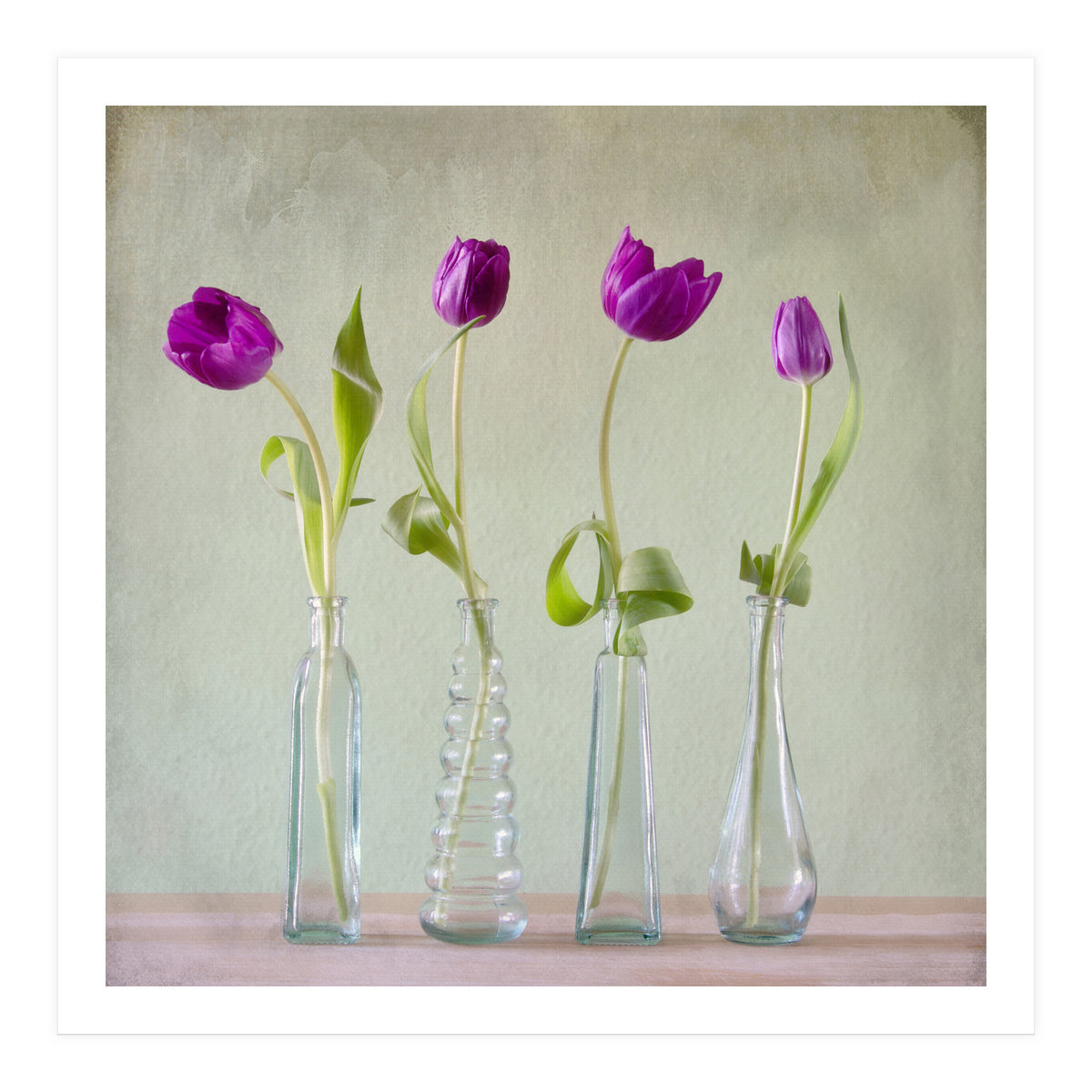 Tulips (Print Only)
