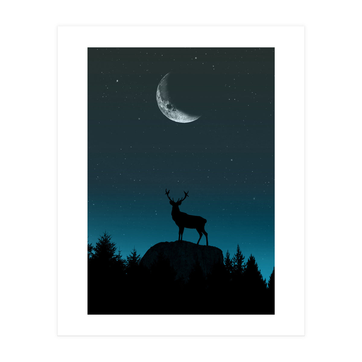 Wild Nature - Nocturne (Print Only)