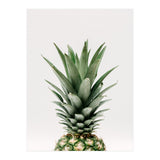 Pineapple Top (Print Only) thumbnail