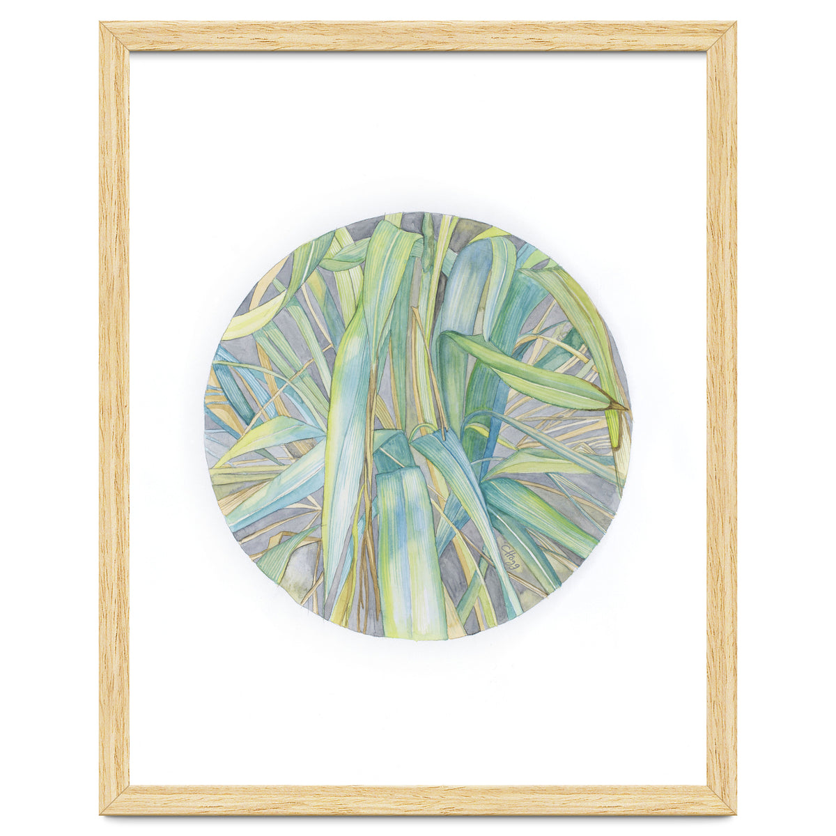 Grasses In The Late Summer Light