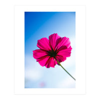 RED FLOWER (Print Only)