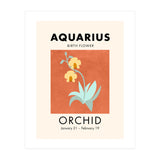 Aquarius Birth Flower Orchid (Print Only) thumbnail