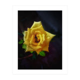 Yellow Flora (Print Only) thumbnail