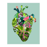 My Botanical Heart (Print Only) thumbnail