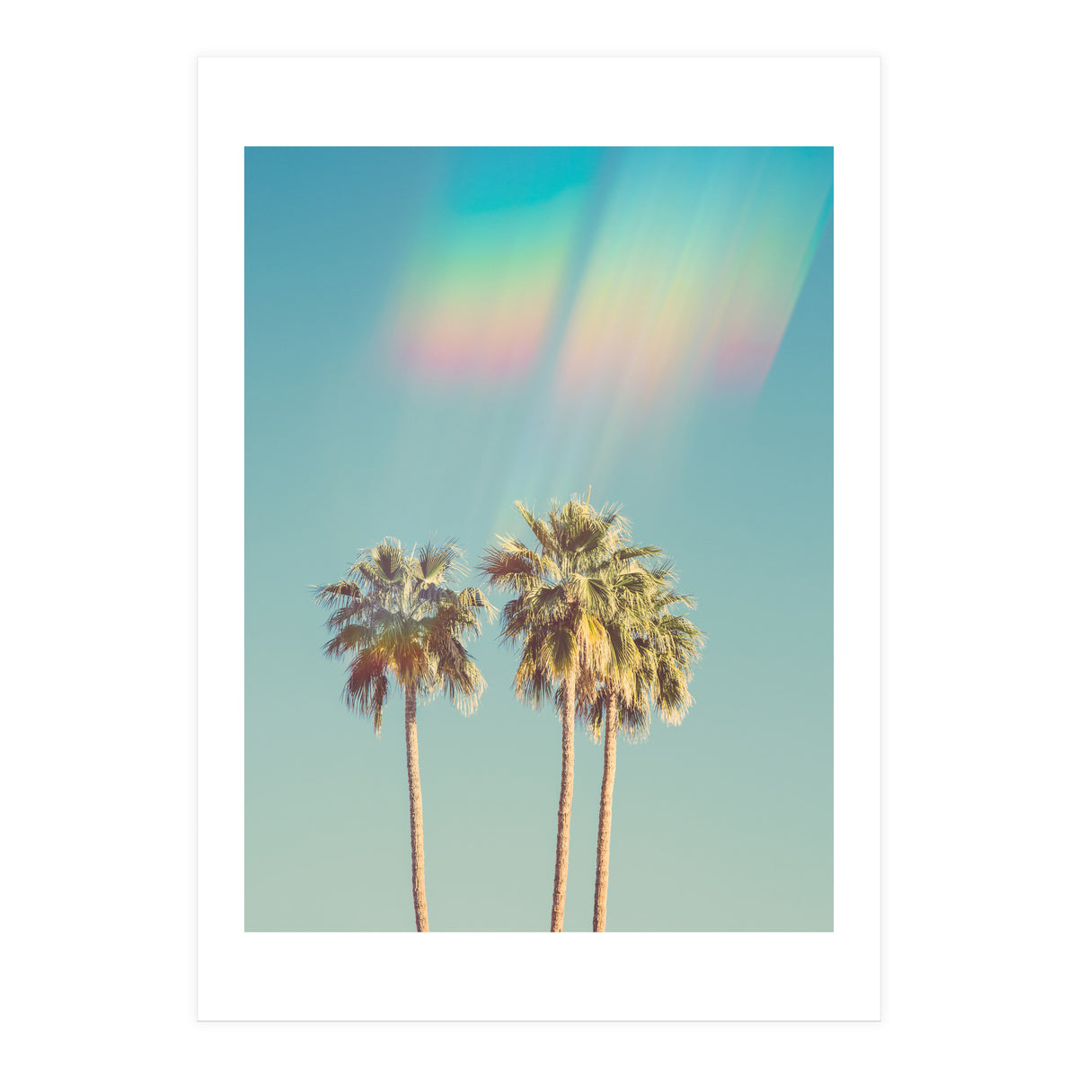 Groovy California Palm Trees (Print Only)