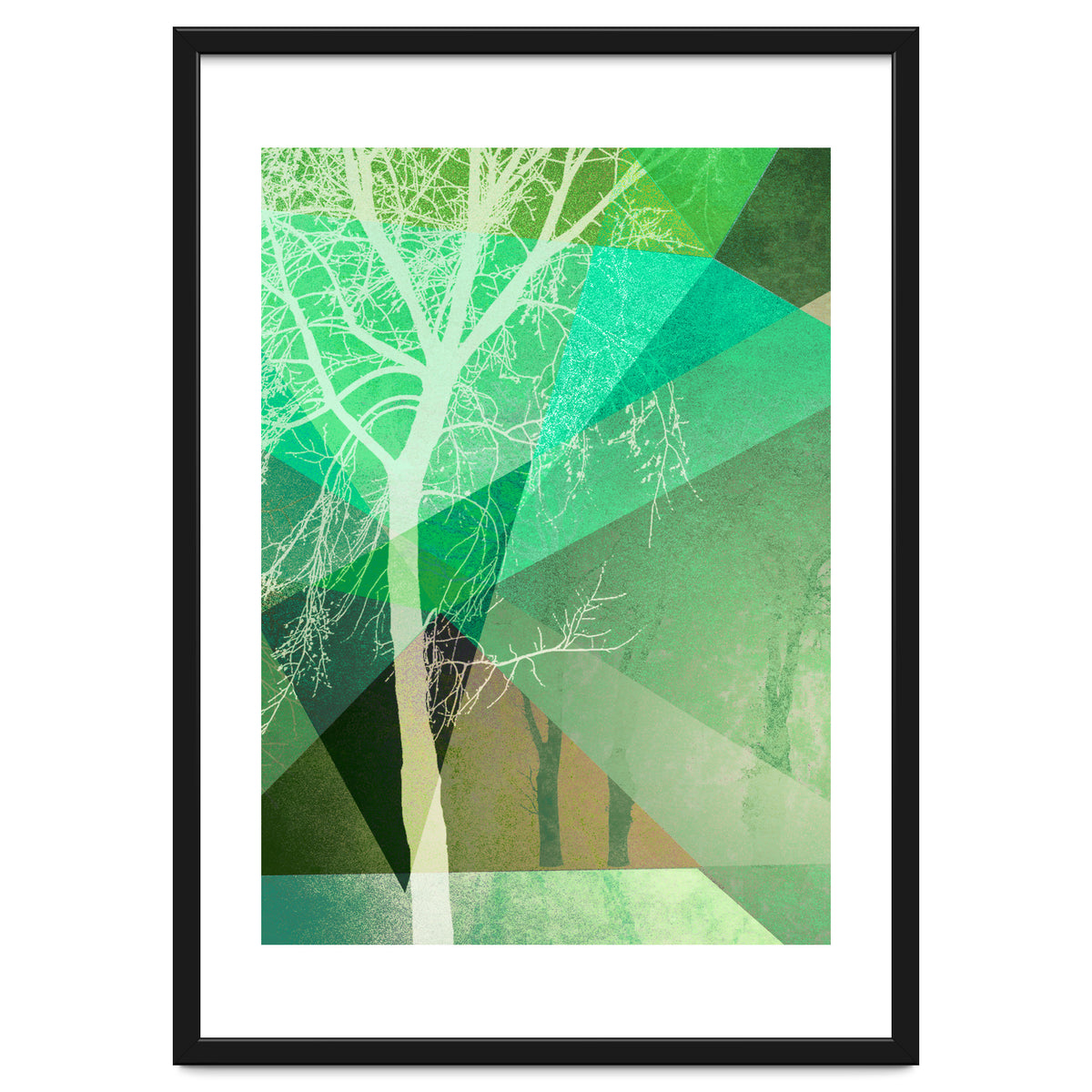 P22 B Trees And Triangles