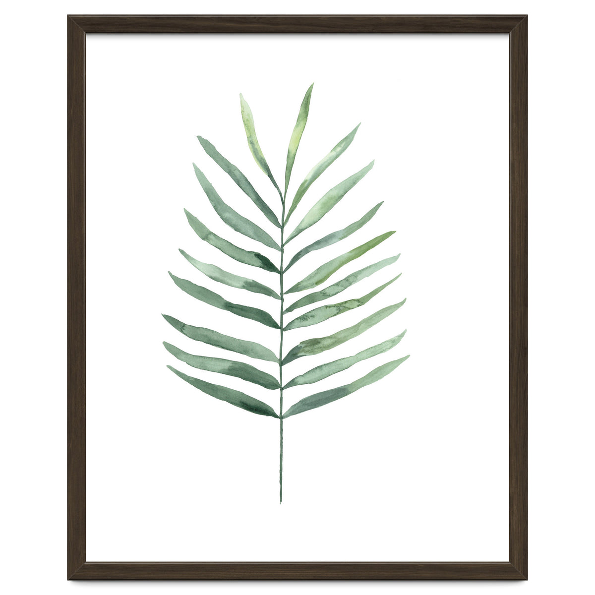 Botanical Illustration Fern