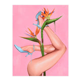 Bird Of Paradise (Print Only) thumbnail