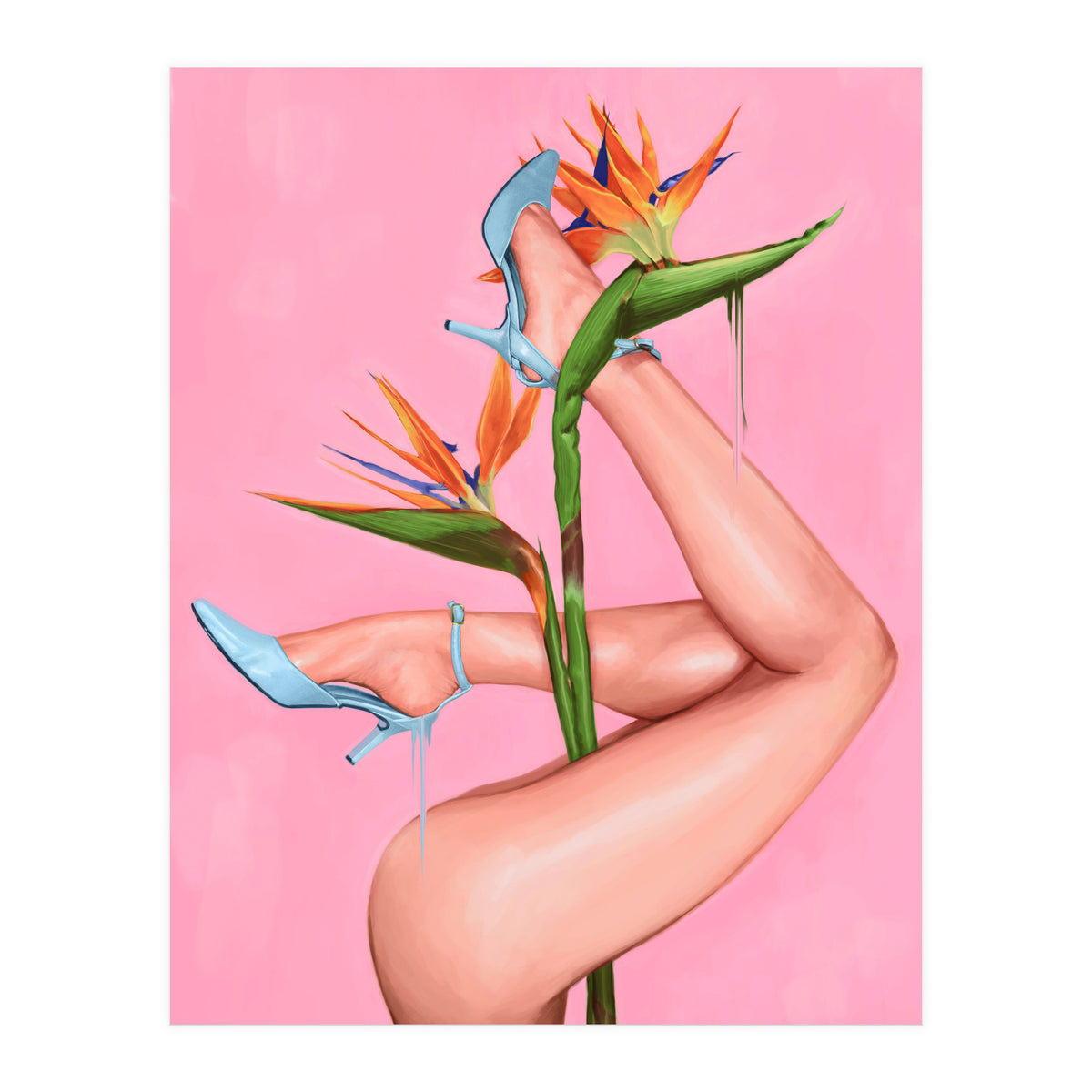 Bird Of Paradise (Print Only)