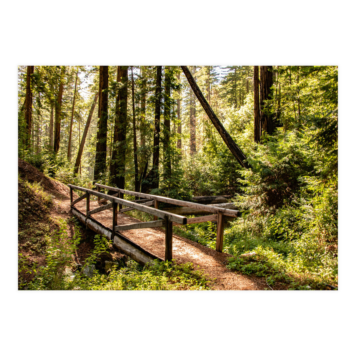 Ewoldsen Trail Bridge  (Print Only)
