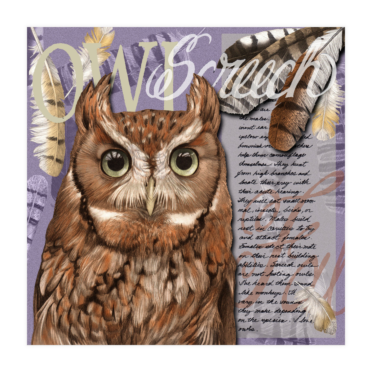Screech Owl (Print Only)