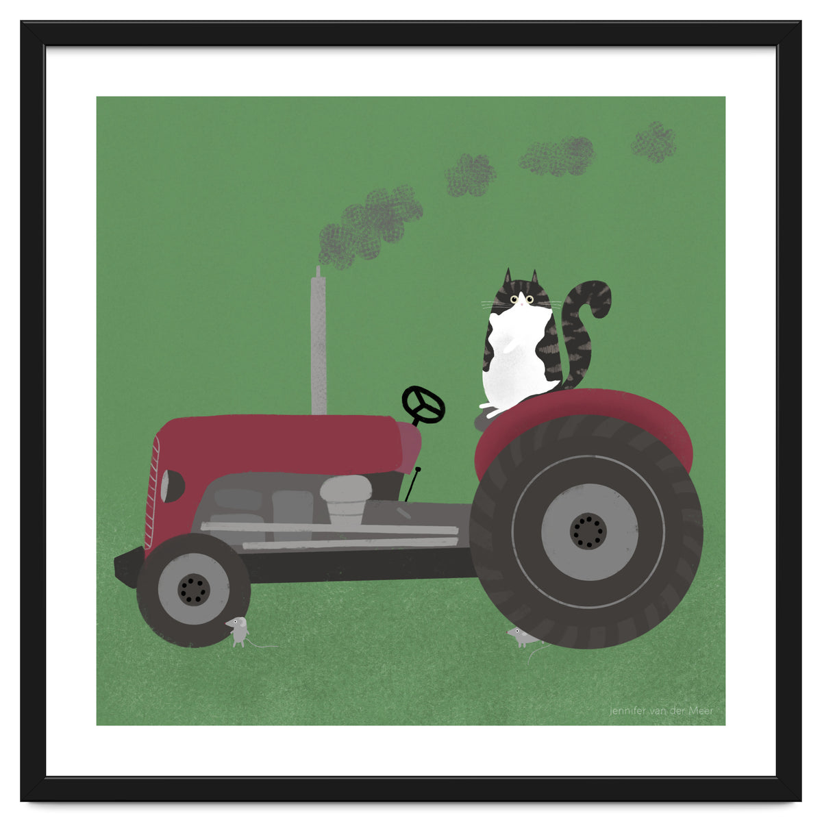 Cat 84: The farm cat