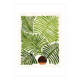 Modern Fern (Print Only) thumbnail