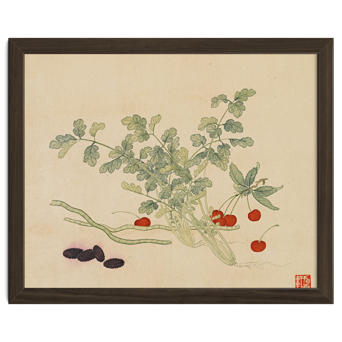 Wang Chengyu~flowers And Vegetables, Vegetables, Fruits, Beans, Red Beans, Cherries, Celery
