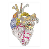 My Heart Is Real (Print Only) thumbnail