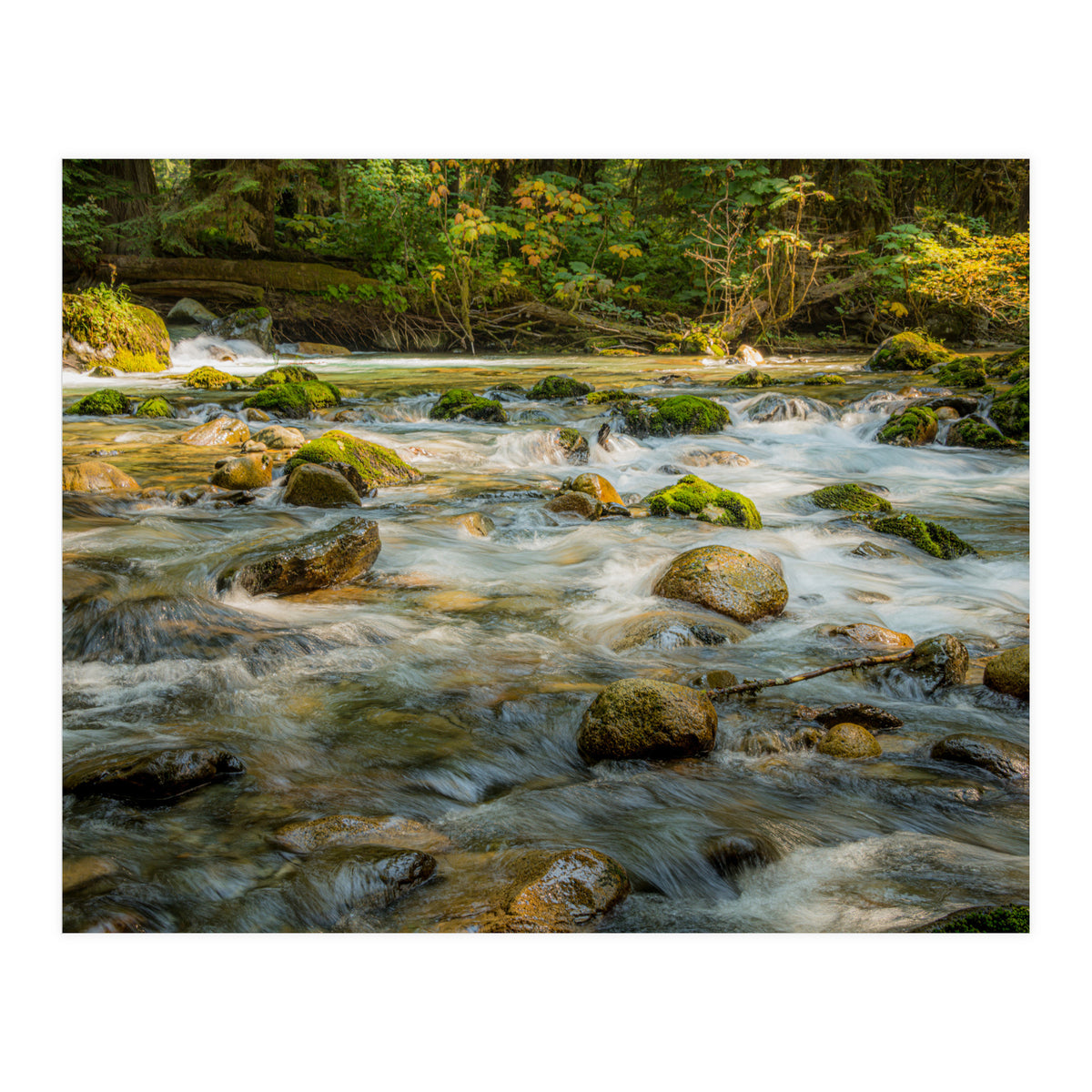Water Flowing over Rocks (Print Only)
