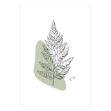 Fern (Print Only) thumbnail