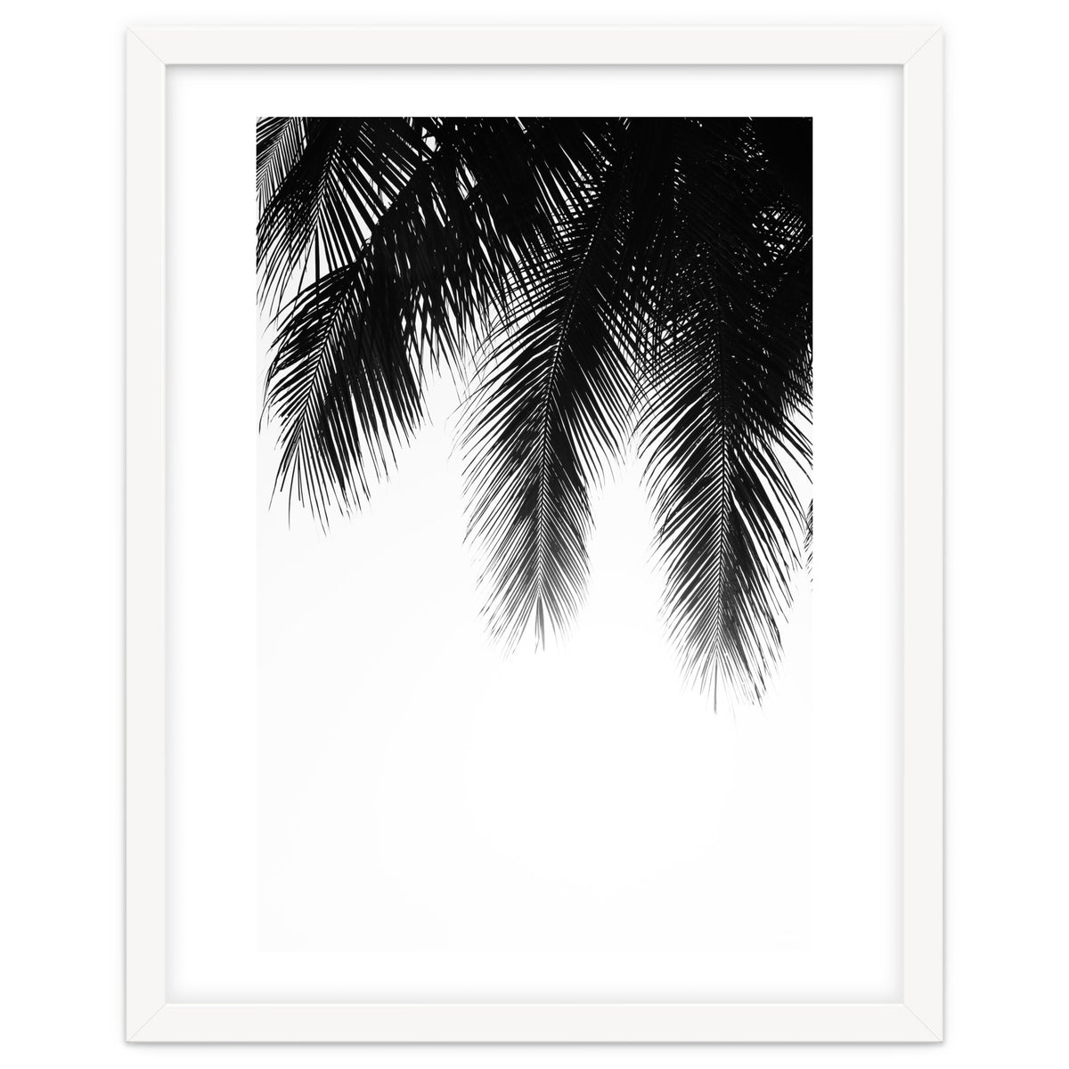 Palm leaves