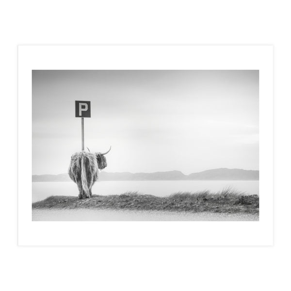 Highland Visitor (Print Only)