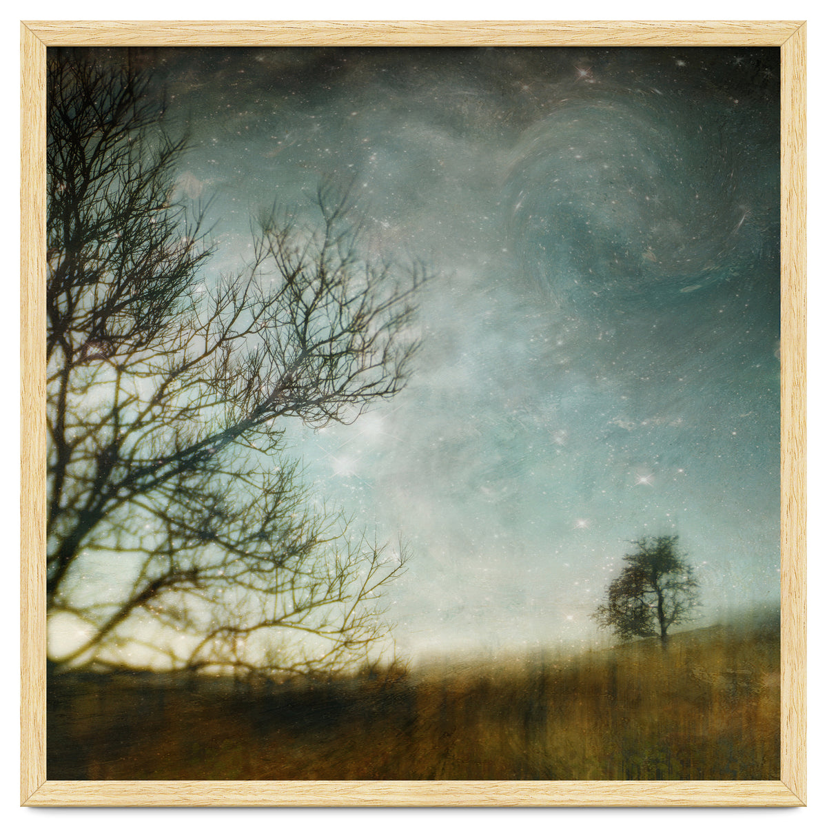 The Tree That Whispered