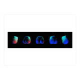 PANORAMA A$$ (Print Only) thumbnail