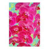 Finding My Way Back To Myself, Botanical Nature Plants Floral, Flowers Garden Colorful Boho Painting Summer Blossom (Print Only) thumbnail