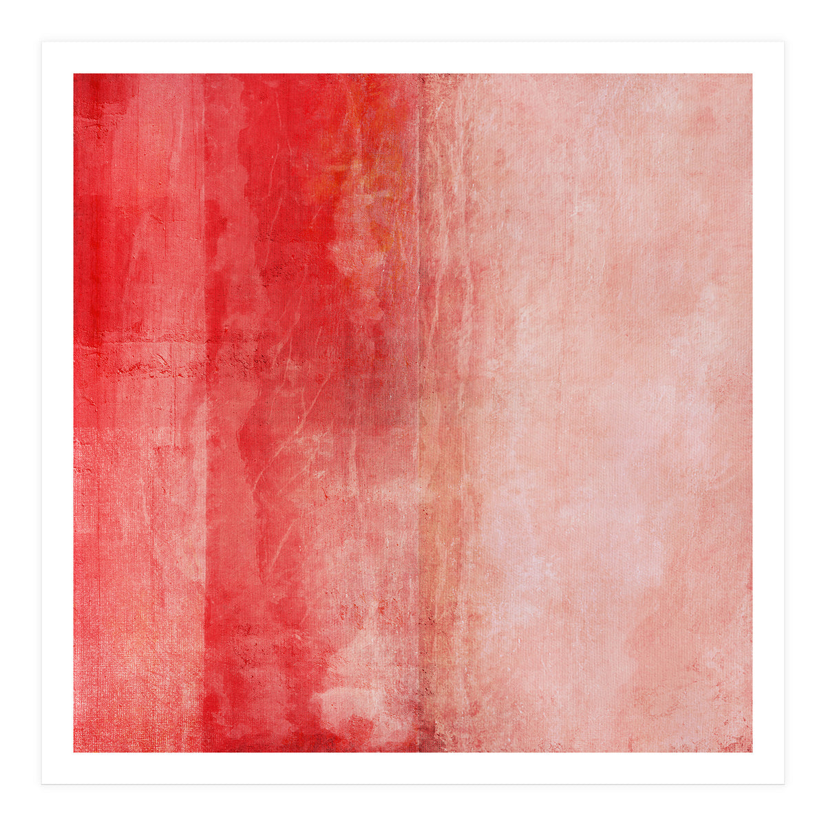 Pink Liquor (Print Only)