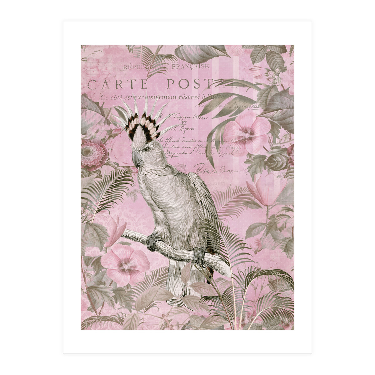 Jungle Cockatoo Pink (Print Only)