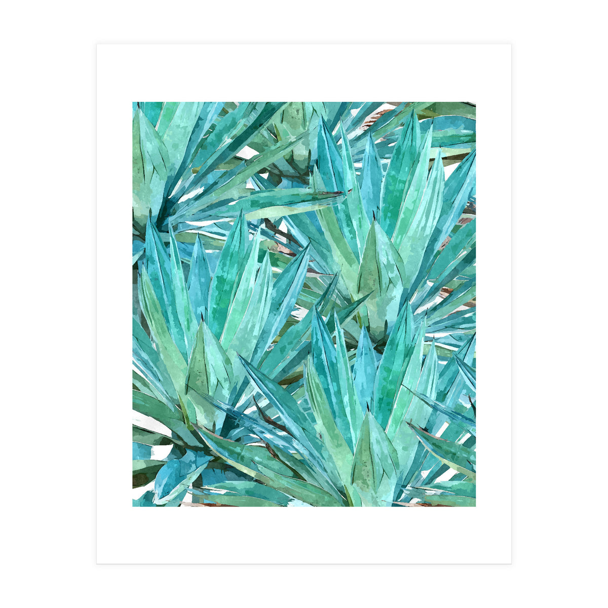 Agave  (Print Only)