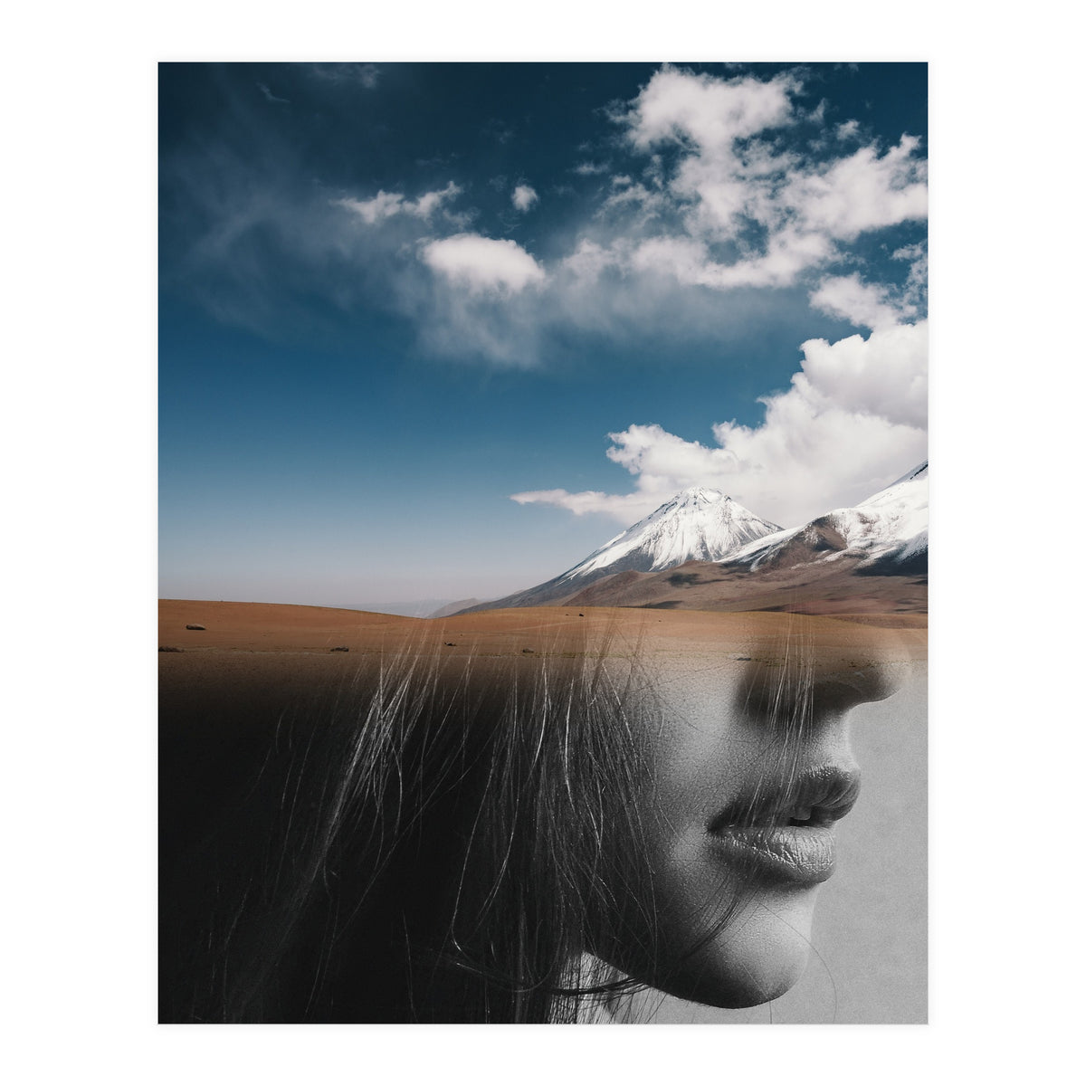 Dream Division 5 (Print Only)