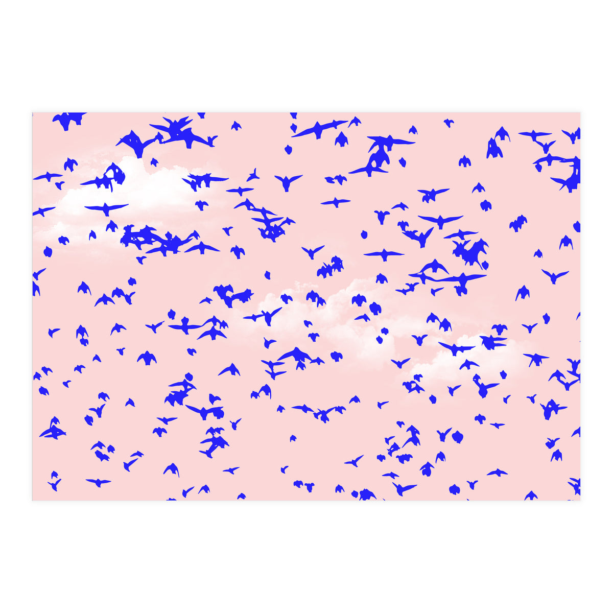 The Right To Fly (Print Only)