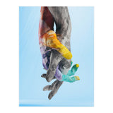 Environmental Issues Hi Res (Print Only) thumbnail