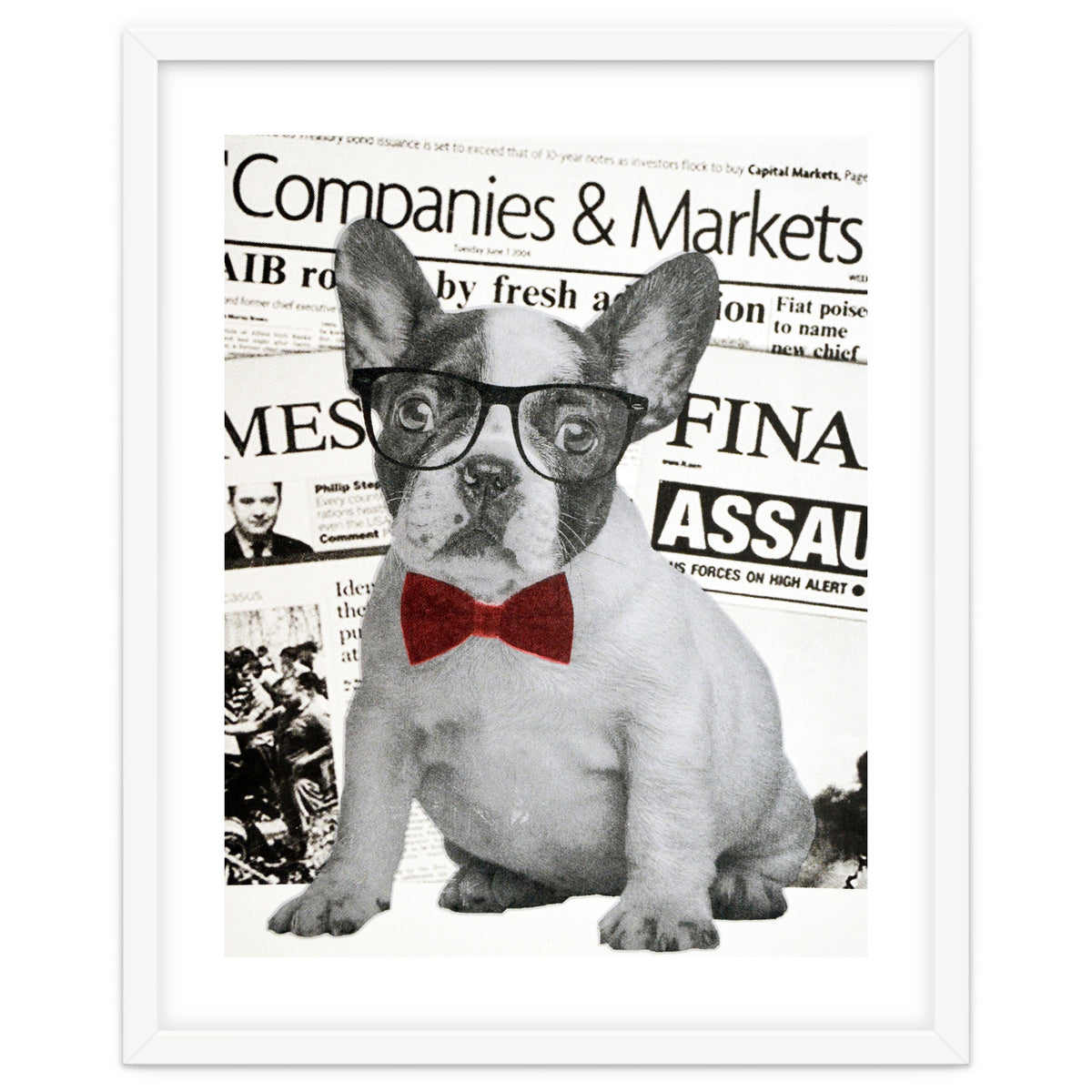 The Dog Of Wall Street