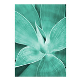 Agave (Print Only) thumbnail