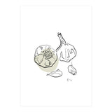 Garlic (Print Only) thumbnail