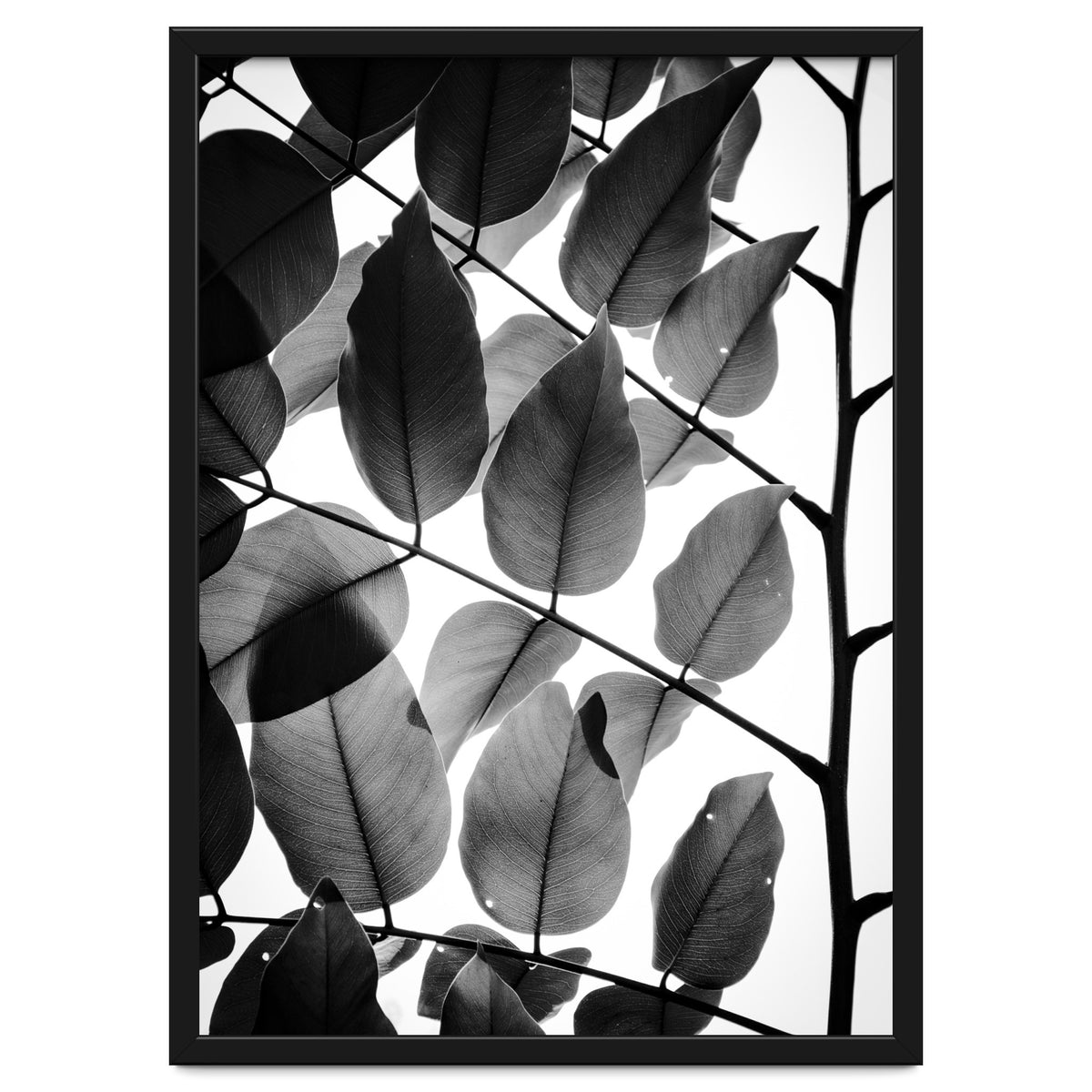 Branches and Leaves II