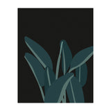 Bird Of Paradise (Print Only) thumbnail