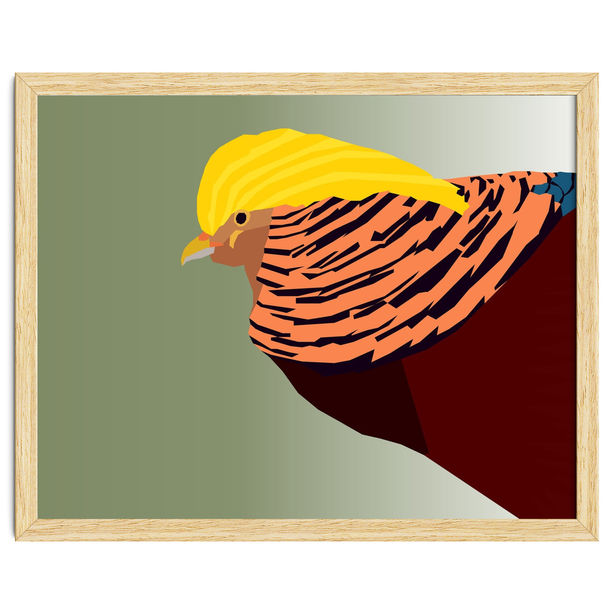 Golden Pheasant Bird Art