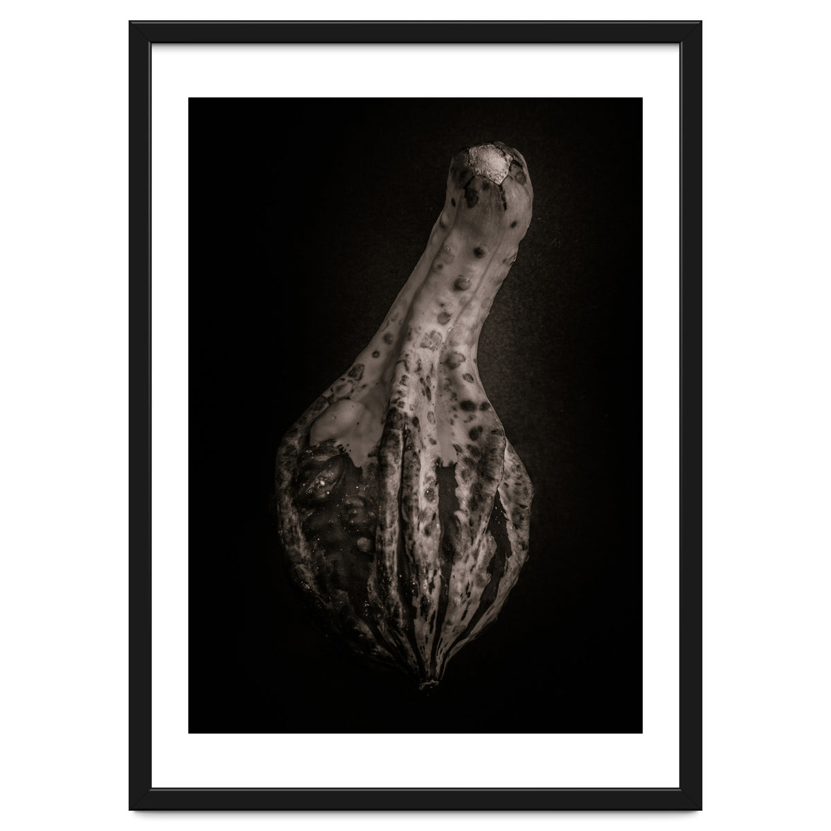 Gourds No 3