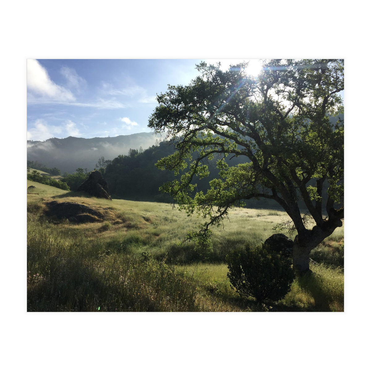 Henry Coe I (Print Only)