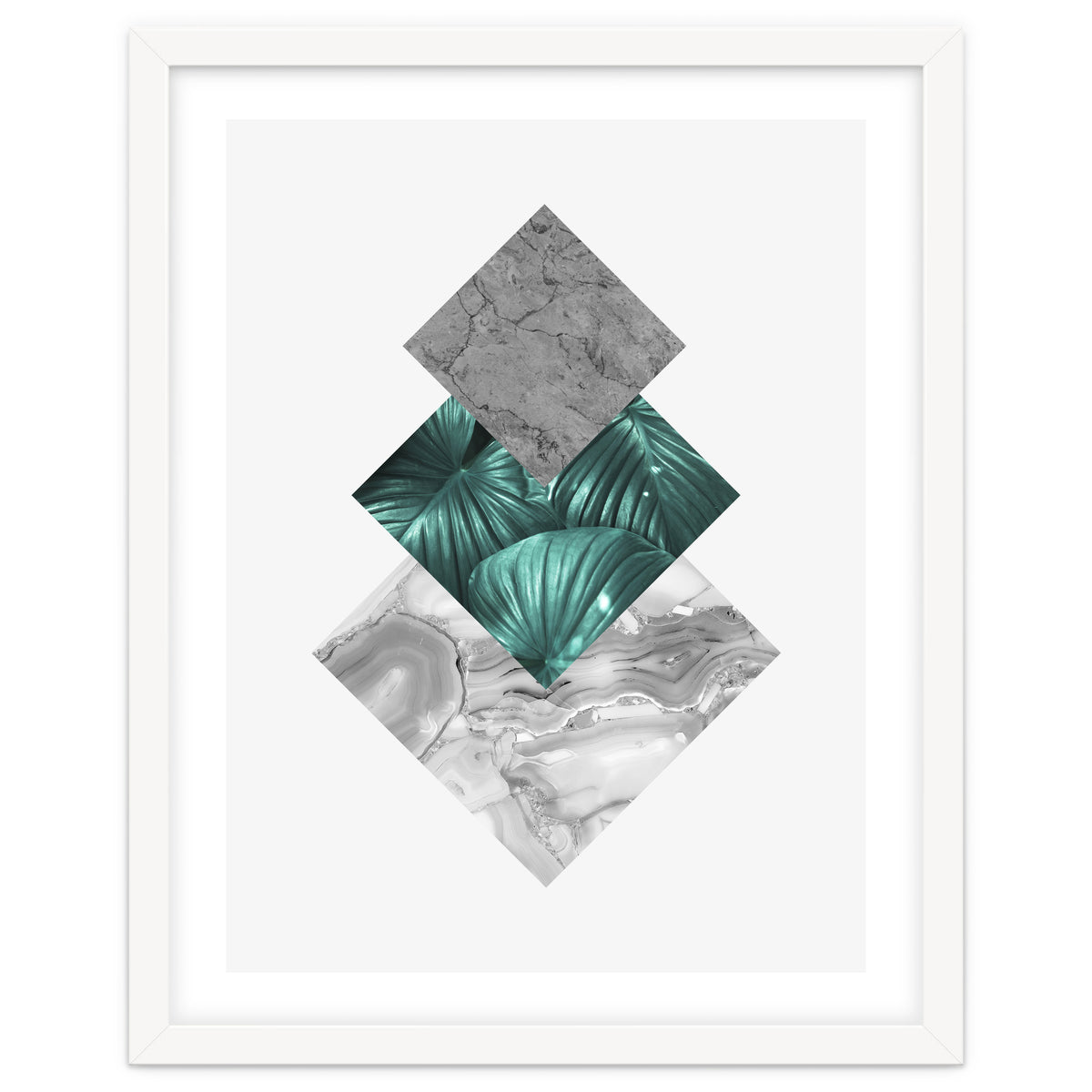 Botanical and geometric V