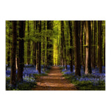 The Path To Light (Print Only) thumbnail