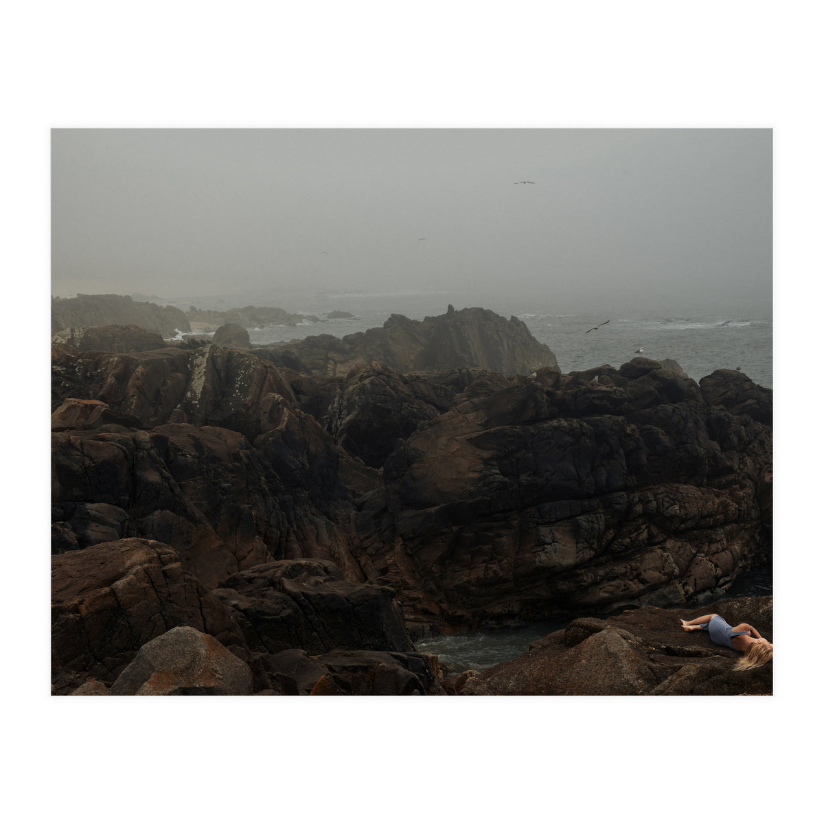 Seagull Bay (Print Only)