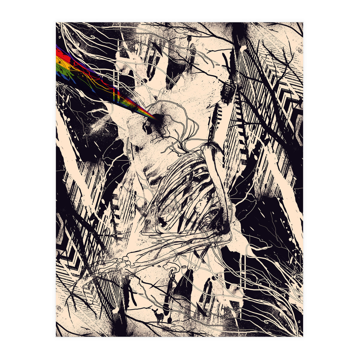 Envision (Print Only)