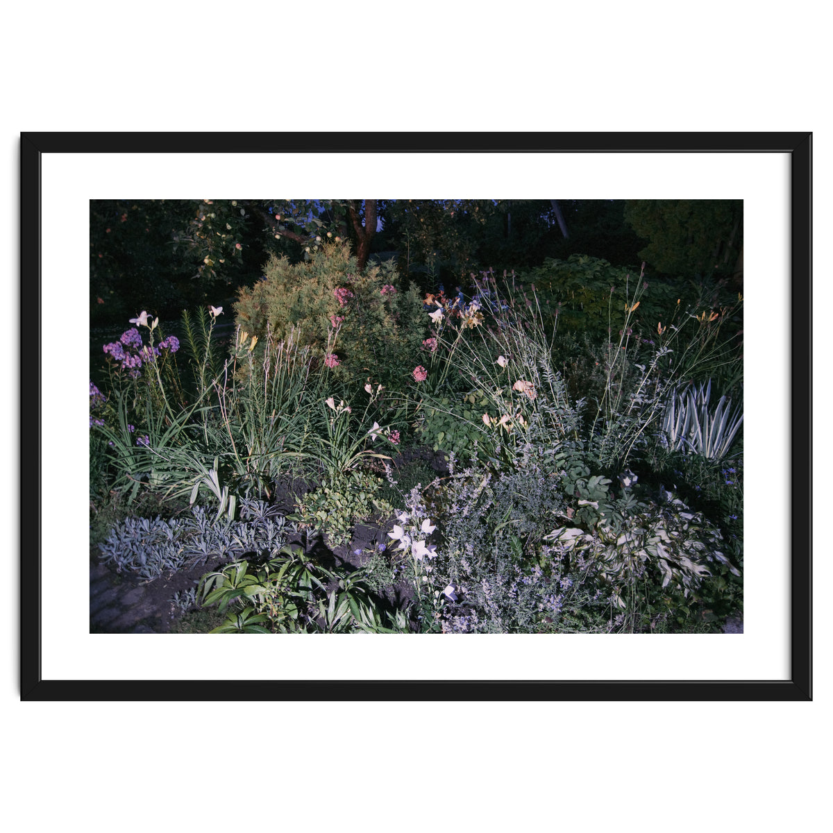 Picture Postcard Perfect