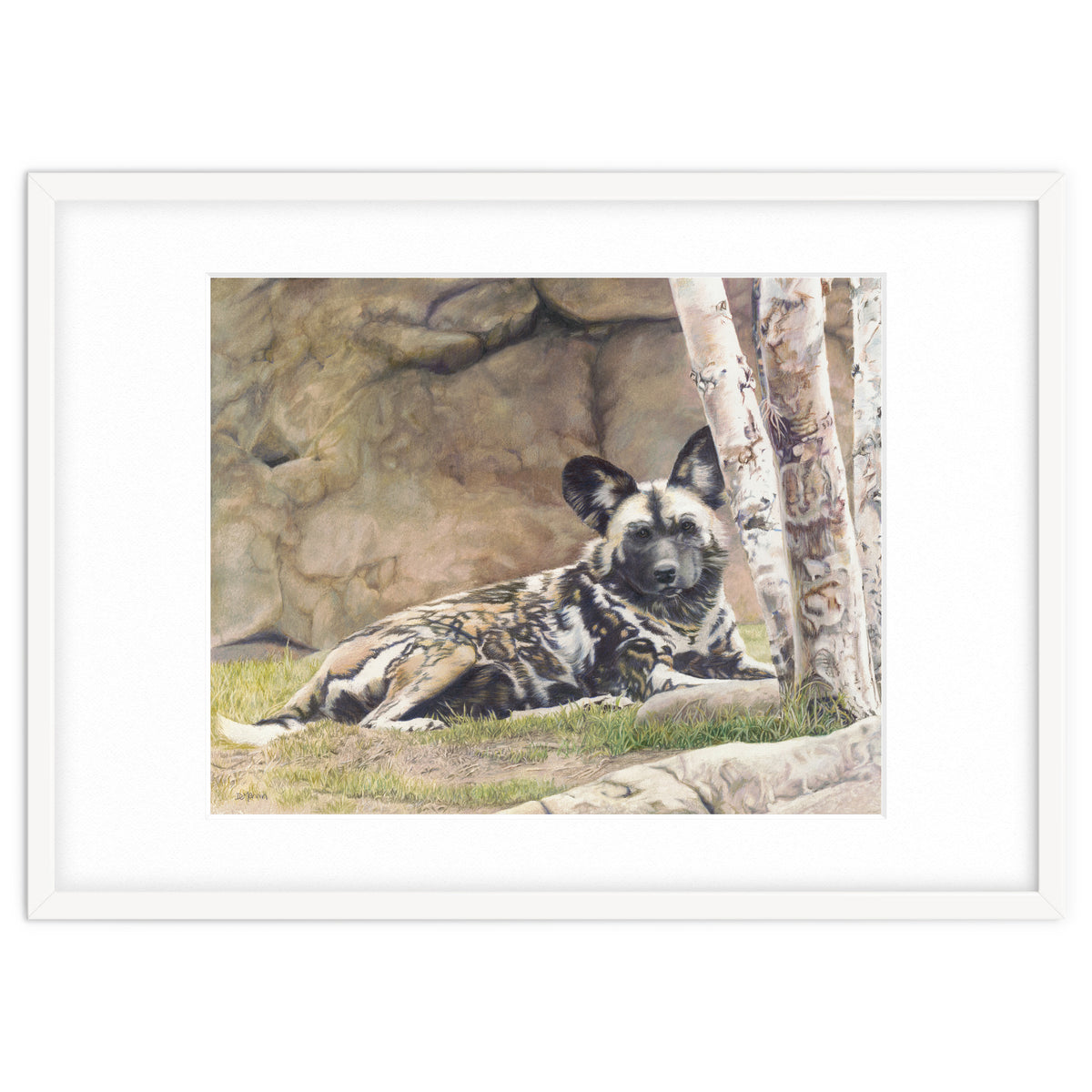 Afican Painted Dog IV - Imara