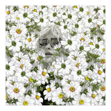 May The Days Be Aimless (Print Only) thumbnail